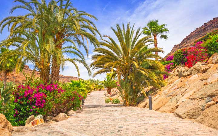 Scalo Gran Canaria